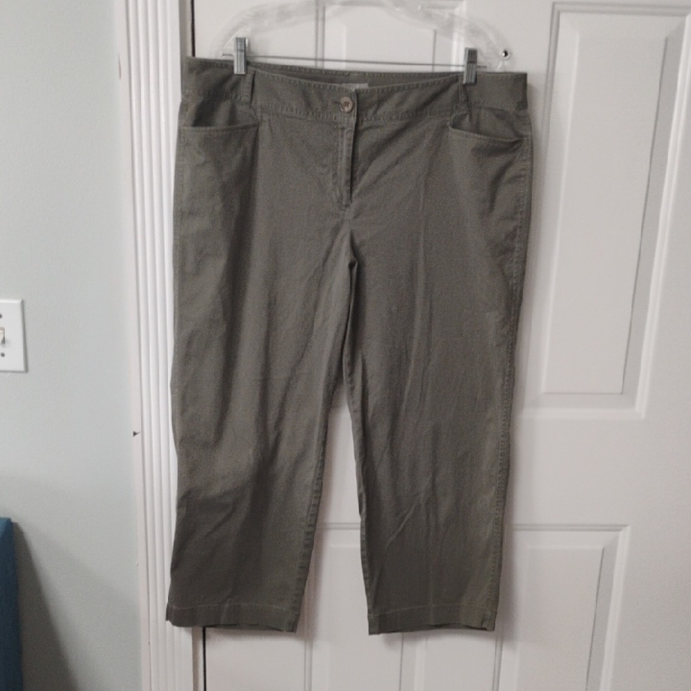 J. Jill Sage Green Stretch Pants